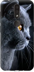 Чехол на Nokia 4.2 Красивый кот "3038u-1680-7105"