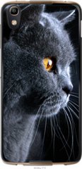 Чехол на Alcatel idol 4 Красивый кот "3038u-711-7105"
