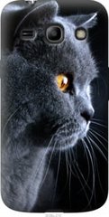 Чехол на Samsung Galaxy Core Plus G3500 Красивый кот "3038u-359-7105"