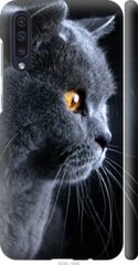 Чехол на Samsung Galaxy A50 2019 A505F Красивый кот "3038c-1668-7105"