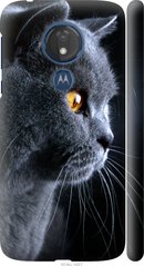 Чехол на Motorola Moto G7 Power Красивый кот "3038c-1657-7105"