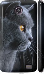 Чехол на Lenovo A820 Красивый кот "3038c-68-7105"