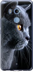 Чехол на HTC U11 Plus Красивый кот "3038u-1363-7105"