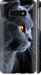 Чехол на Samsung Galaxy S10e Красивый кот "3038c-1646-7105"