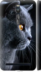 Чехол на Asus Zenfone 2 ZE551ML Красивый кот "3038c-122-7105"