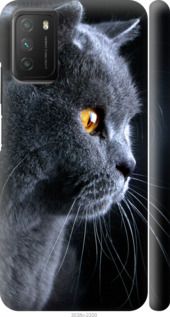 Чехол на Xiaomi Poco M3 Красивый кот "3038c-2200-7105"