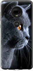Чехол на Motorola Moto G7 Красивый кот "3038u-1614-7105"