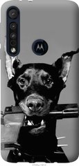 Чехол на Motorola One Macro Доберман "2745u-1812-7105"