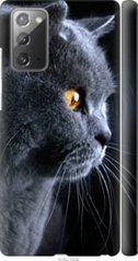 Чехол на Samsung Galaxy Note 20 Красивый кот "3038c-2036-7105"