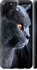 Чехол на Huawei Honor 7C Pro Красивый кот "3038c-2070-7105"