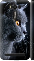 Чехол на Asus ZenFone 2 Laser ZE500KL Красивый кот "3038c-113-7105"