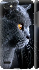 Чехол на LG Q6 Красивый кот "3038c-1094-7105"
