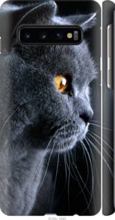 Чехол на Samsung Galaxy S10 Красивый кот "3038c-1640-7105"