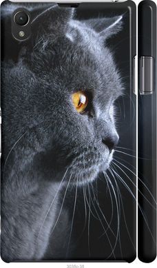 Чехол на Sony Xperia Z1 C6902 Красивый кот "3038c-38-7105"