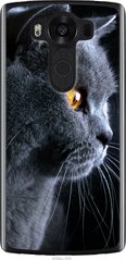 Чехол на LG V10 H962 Красивый кот "3038u-370-7105"
