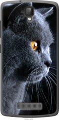Чехол на ZTE L5 Красивый кот "3038u-429-7105"