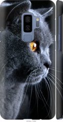 Чехол на Samsung Galaxy S9 Plus Красивый кот "3038c-1365-7105"