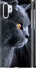Чехол на Samsung Galaxy Note 10 Plus Красивый кот "3038c-1756-7105"