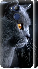 Чехол на Huawei Honor 6C Pro Красивый кот "3038c-1358-7105"
