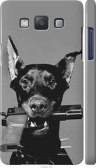 Чехол на Samsung Galaxy A5 A500H Доберман "2745c-73-7105"