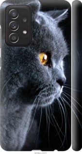 Чехол на Samsung Galaxy A52 Красивый кот "3038c-2251-7105"