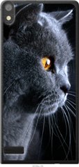 Чехол на Huawei Ascend P6 Красивый кот "3038u-39-7105"