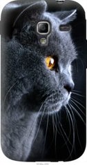 Чехол на Samsung Galaxy Ace 2 I8160 Красивый кот "3038u-250-7105"