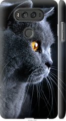 Чехол на LG V20 Красивый кот "3038c-787-7105"