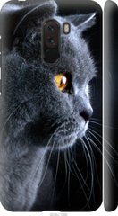 Чехол на Xiaomi Pocophone F1 Красивый кот "3038c-1556-7105"