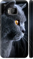 Чехол на HTC One M9 Красивый кот "3038c-129-7105"