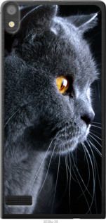 Чехол на Huawei Ascend P6 Красивый кот "3038u-39-7105"