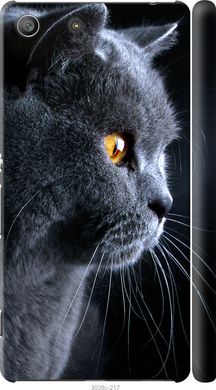Чехол на Sony Xperia M5 E5633 Красивый кот "3038c-217-7105"