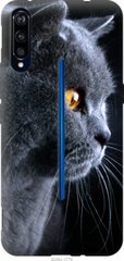 Чехол на Vivo IQOO Красивый кот "3038u-1779-7105"