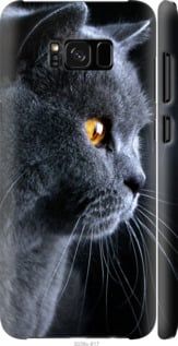 Чехол на Samsung Galaxy S8 Plus Красивый кот "3038c-817-7105"