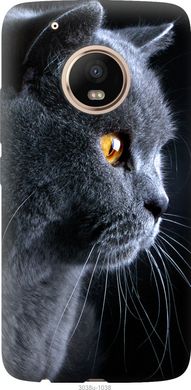 Чехол на Motorola Moto G5 PLUS Красивый кот "3038u-1038-7105"