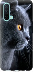 Чехол на OnePlus Nord CE Красивый кот "3038u-2382-7105"
