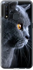 Чехол на Vivo Z5X Красивый кот "3038u-1765-7105"