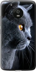 Чехол на Motorola Moto G5 Красивый кот "3038u-832-7105"