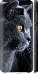 Чехол на Samsung Galaxy S8 Красивый кот "3038c-829-7105"