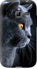 Чехол на Samsung Galaxy Ace Duos S6802 Красивый кот "3038u-253-7105"