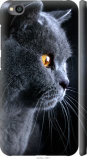 Чехол на Xiaomi Redmi Go Красивый кот "3038c-1667-7105"