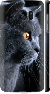 Чехол на Galaxy S7 Edge G935F Красивый кот "3038c-257-7105"