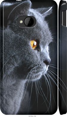 Чехол на HTC One M7 Красивый кот "3038c-36-7105"