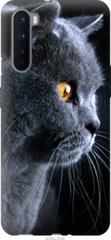 Чехол на OnePlus Nord Красивый кот "3038u-2046-7105"