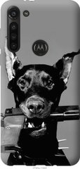 Чехол на Motorola G8 Power Доберман "2745u-1940-7105"