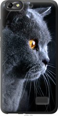 Чехол на Huawei Honor 4C Красивый кот "3038u-183-7105"