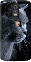 Чехол на LG G2 Красивый кот "3038u-37-7105"