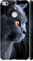 Чехол на Huawei P8 Lite (2017) Красивый кот "3038c-777-7105"