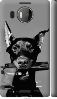 , Lumia 950 XL Dual Sim