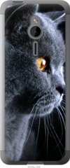 Чехол на Nokia 230 Красивый кот "3038u-339-7105"